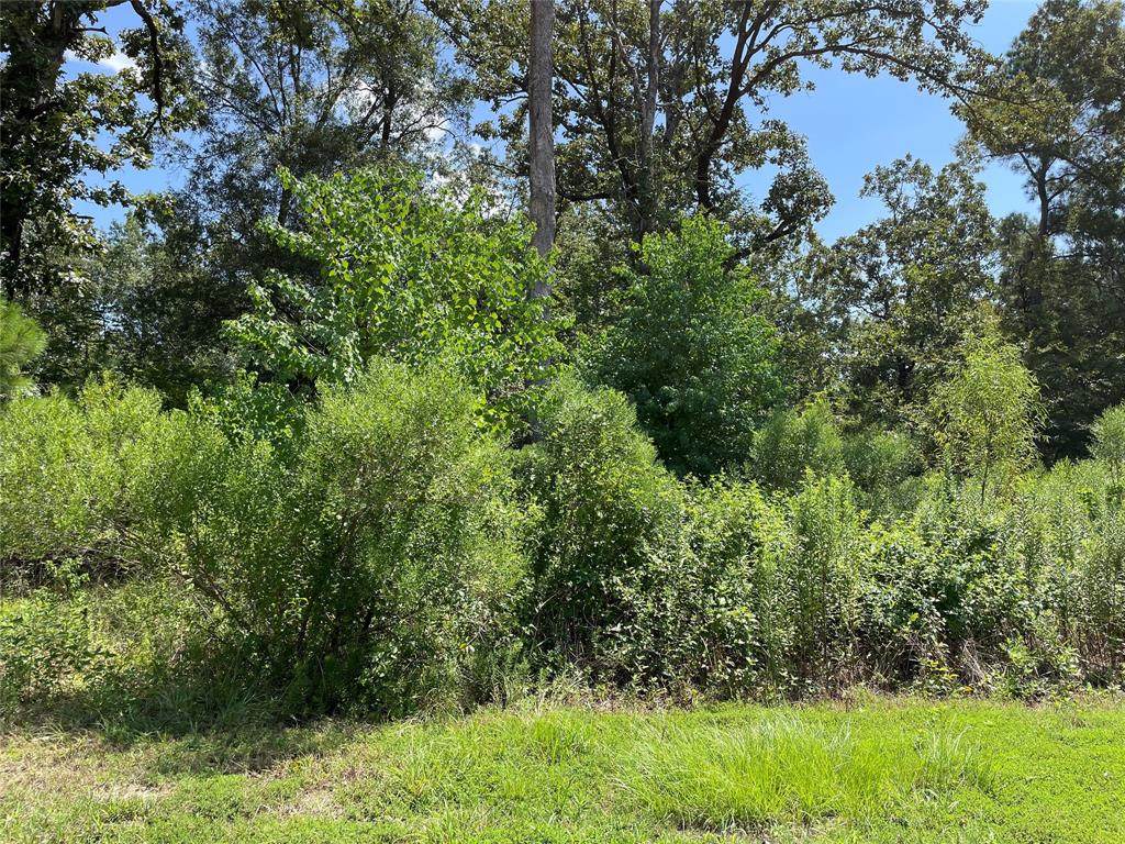 1063 Winterberry Lane - Photo 1