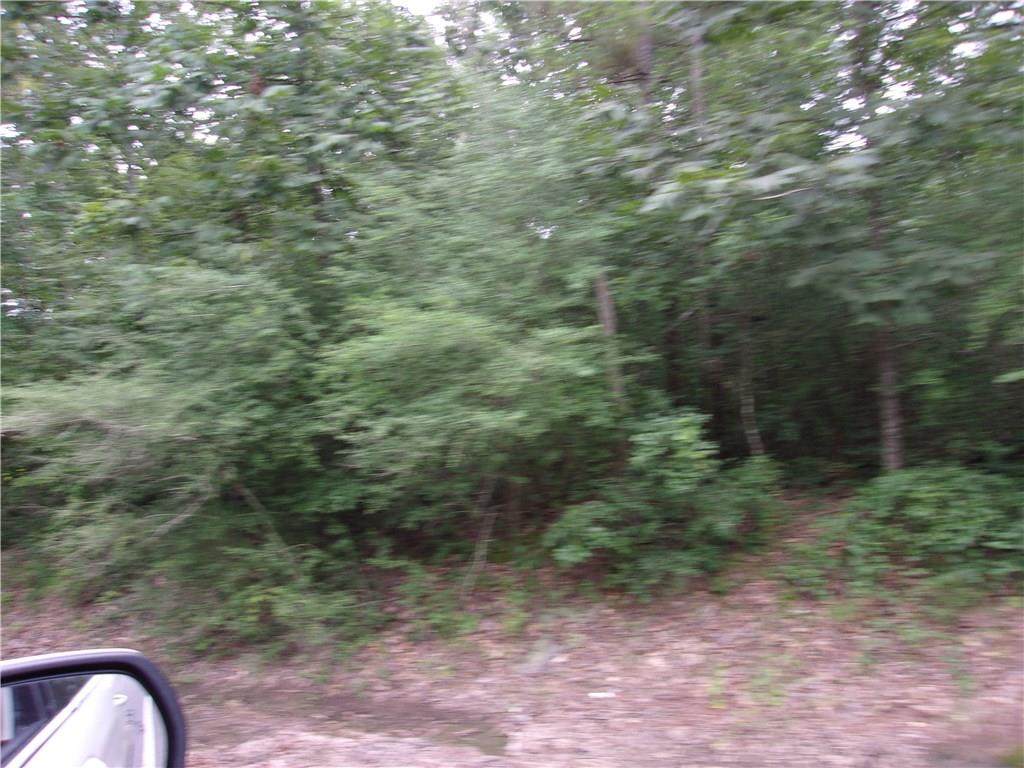 0 Buncombe Road - Photo 1