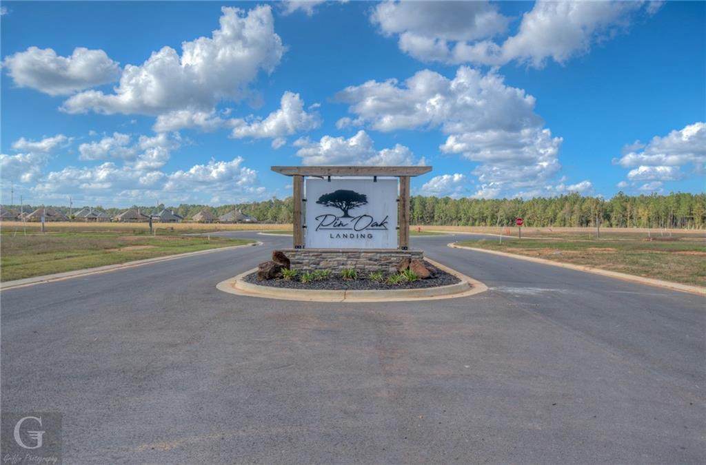 0 Pin Oak Landing - Photo 1