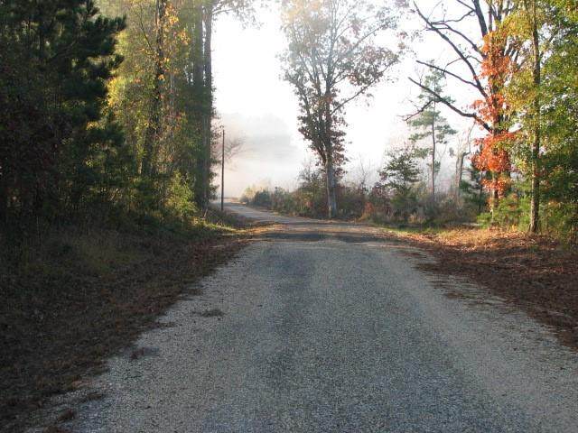 0 Mcdaniel Rd - Photo 1