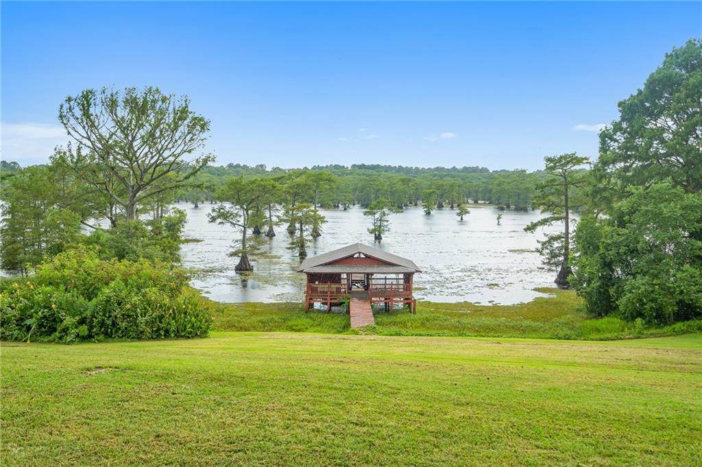 11554 Mosquito Bend Road - Photo 1