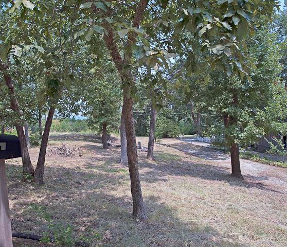 2633 Tanglewood Boulevard - Photo 1
