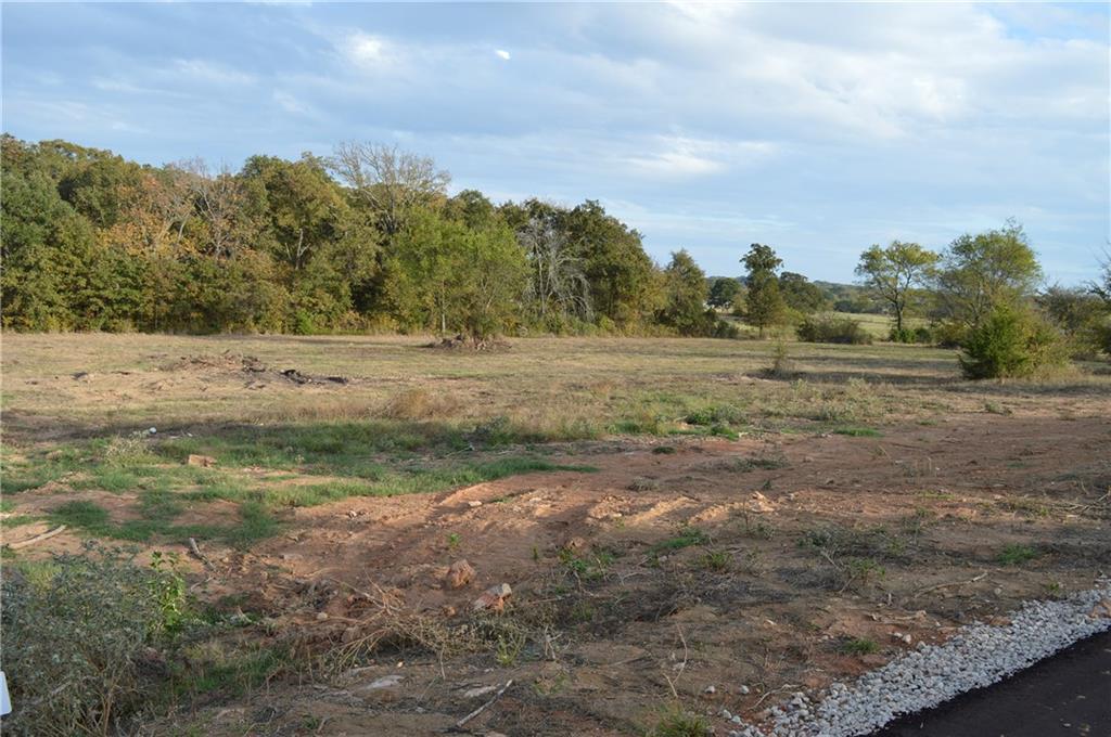 Lot 8 County Road 2310 - Photo 1
