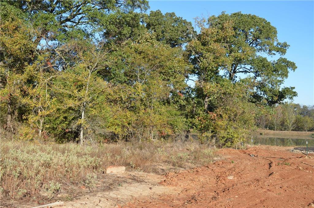 Lot 35 County Road 2310 - Photo 1