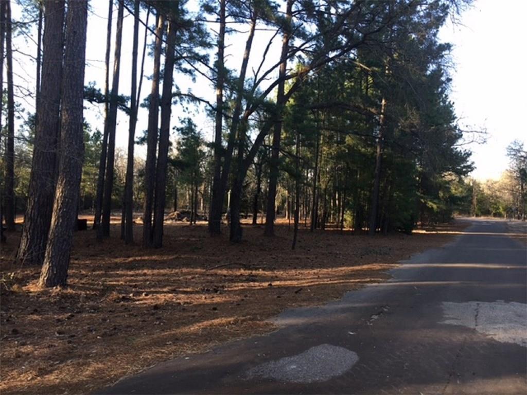 Lot 43 Chapparal Run - Photo 1