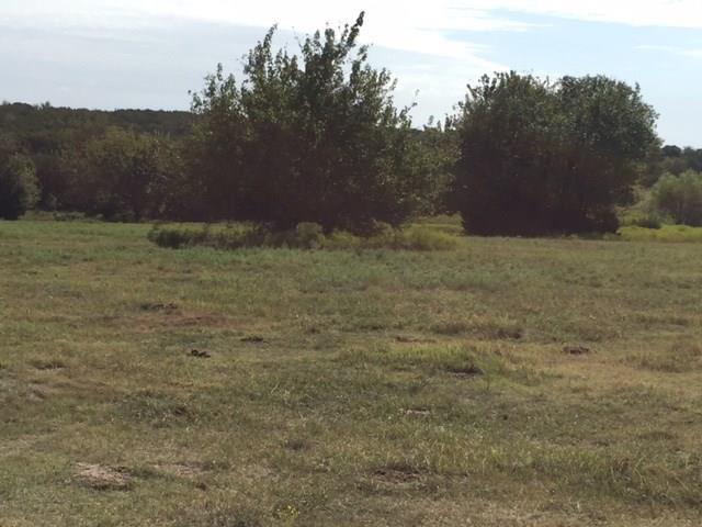 TBD Cr 1224 Hwy 67 - Photo 1