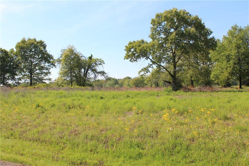 Lot 35 Rs County Road 4261 - Photo 1