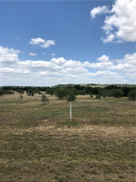 2045 Canyon Wren - Photo 1