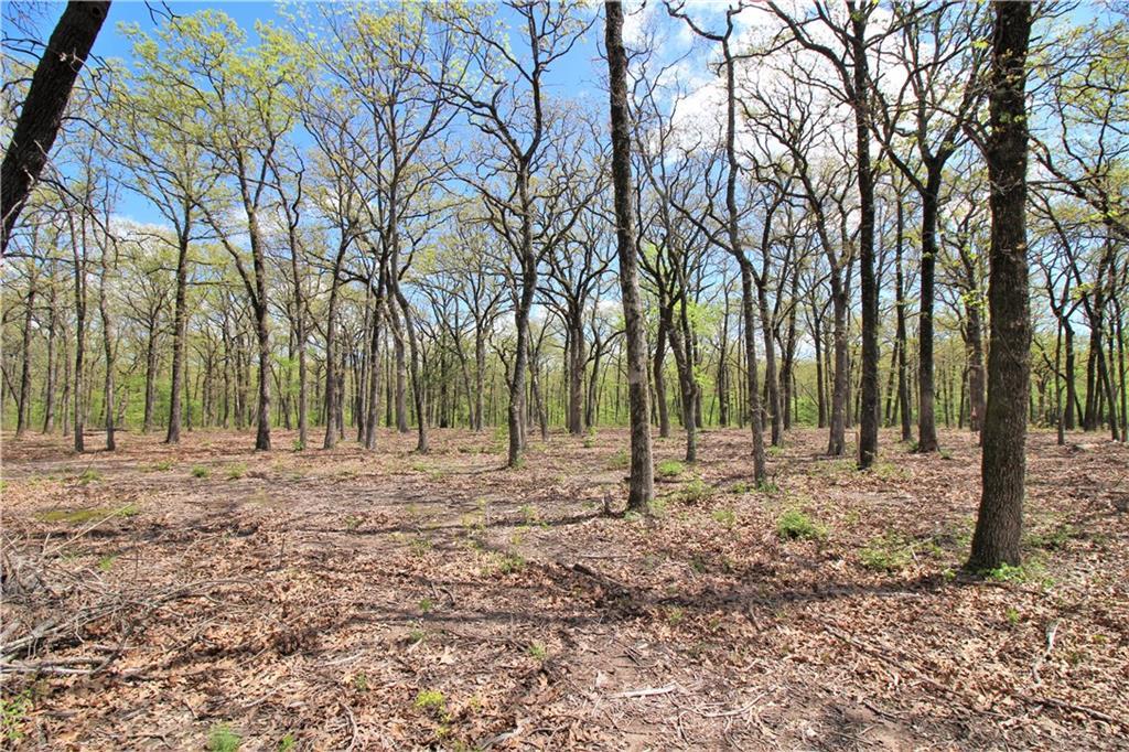 Lot 57 Vintage Shore Way - Photo 1