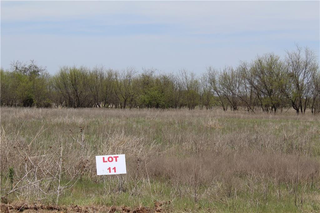 Lot 11 Eagle Cove Lane - Photo 1