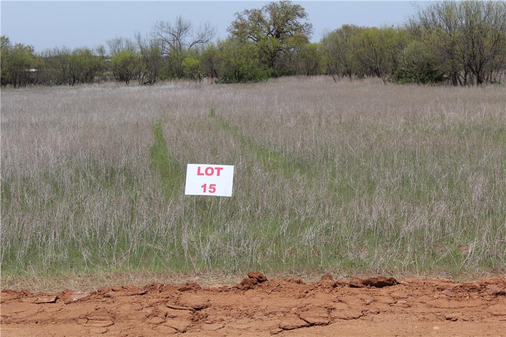 Lot 15 Eagle Cove Lane - Photo 1