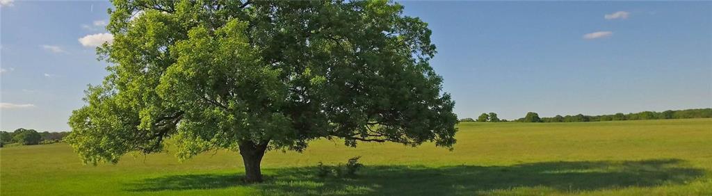 TBD 9E Katy Ranch Drive - Photo 1
