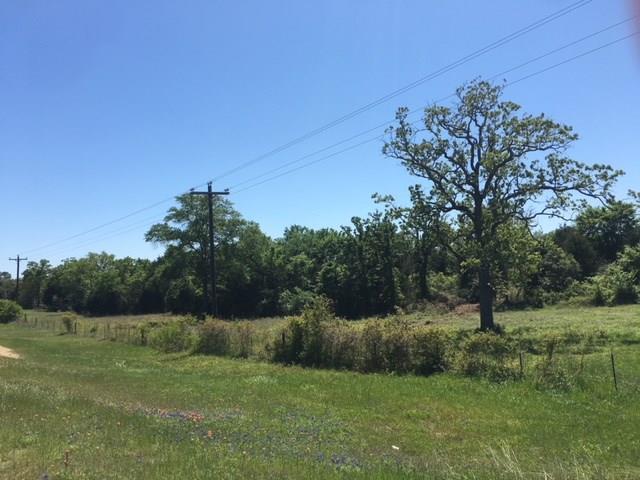 TBD Fm 937 Road - Photo 1