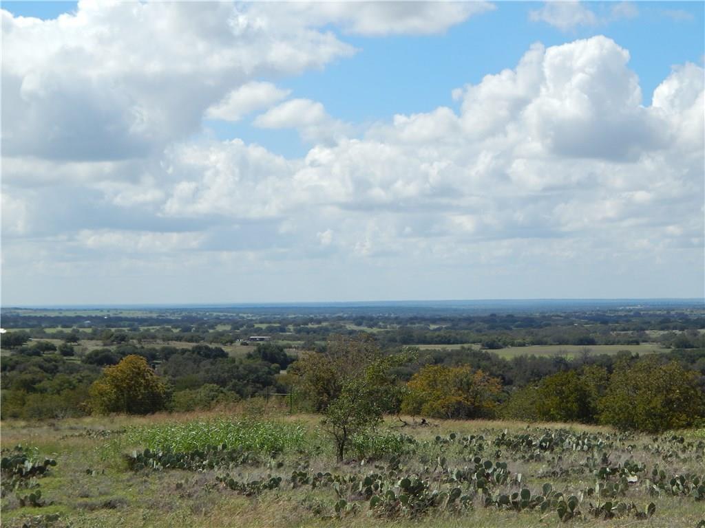 243 County Road 217 - Photo 1