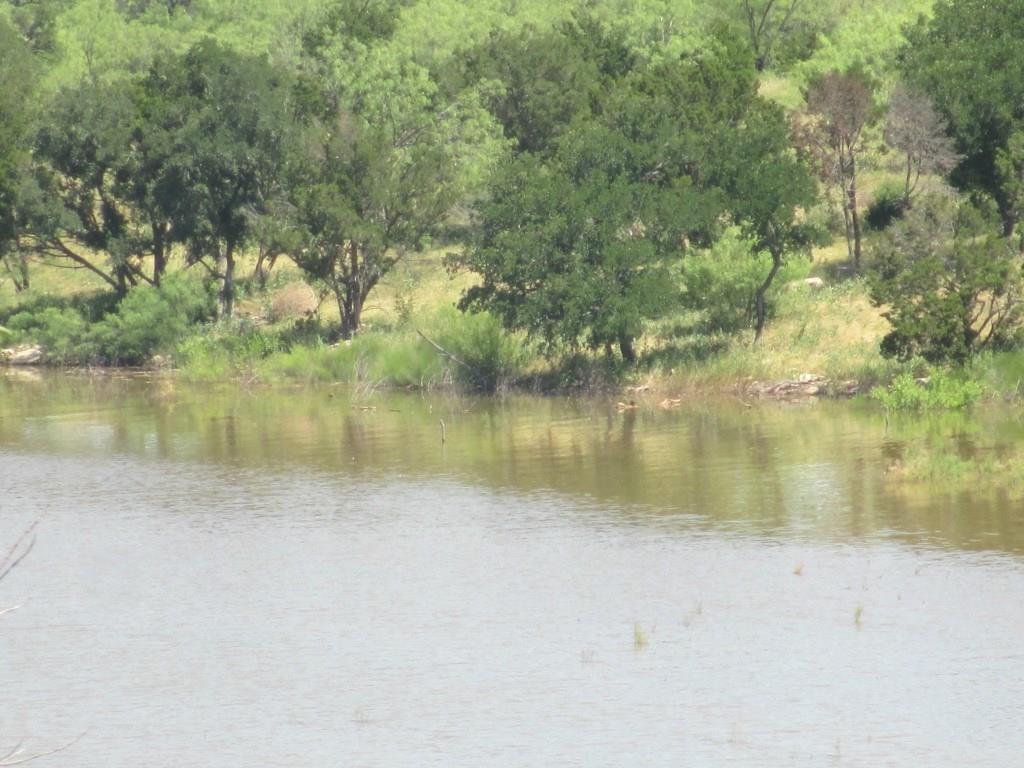 Lt 917 Cinnamon Teal - Photo 1