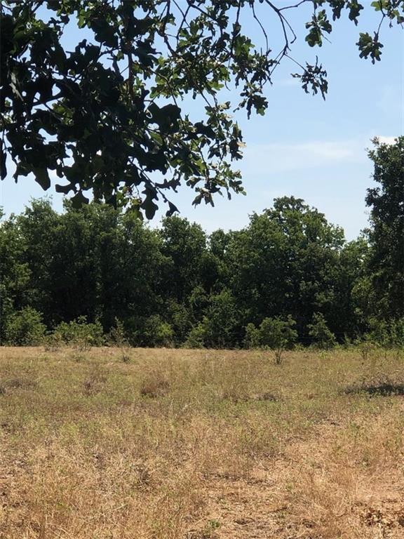 TBD Old Springtown Road - Photo 1