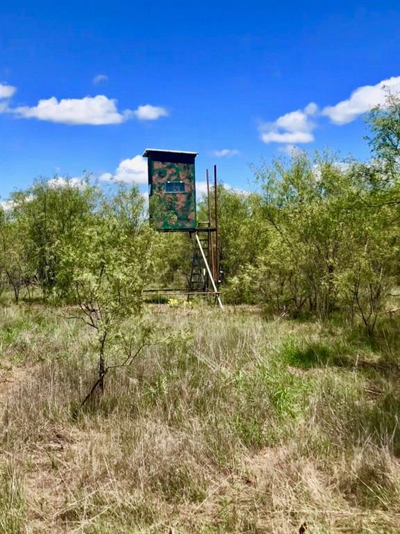 TBD County Road 443 - Photo 1