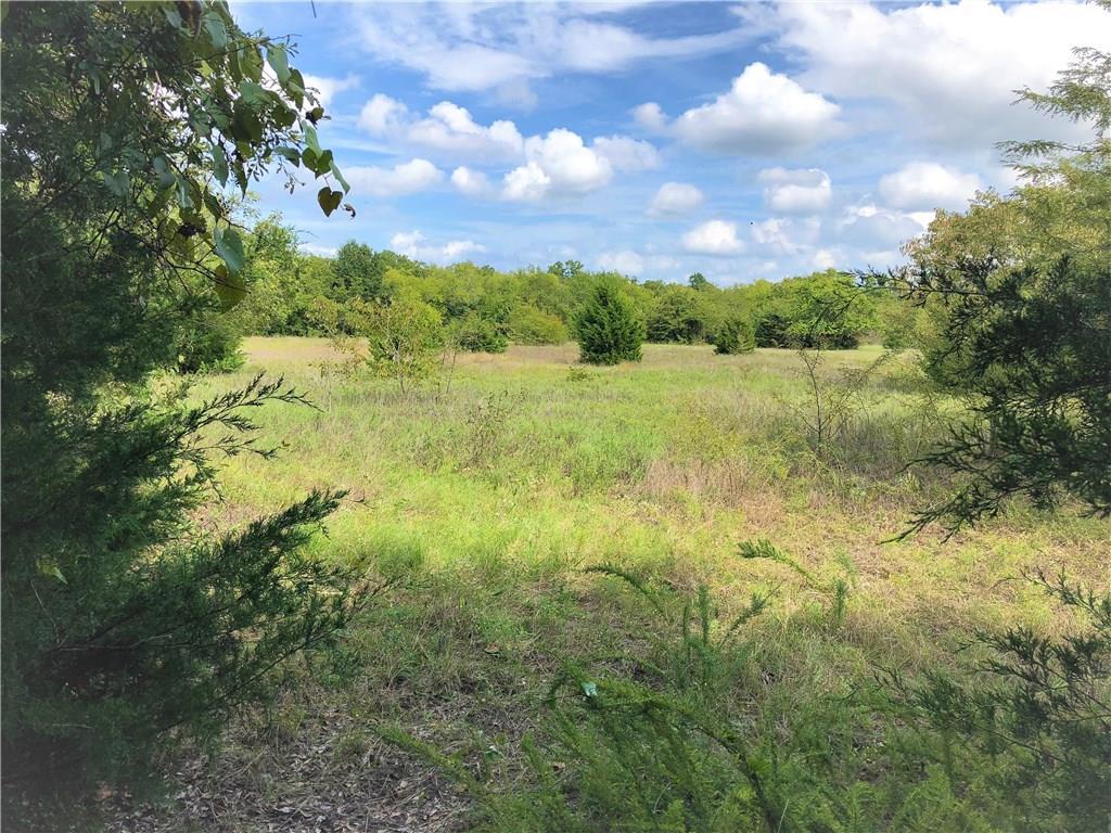 Lot 6 County Rd 1110 - Photo 1