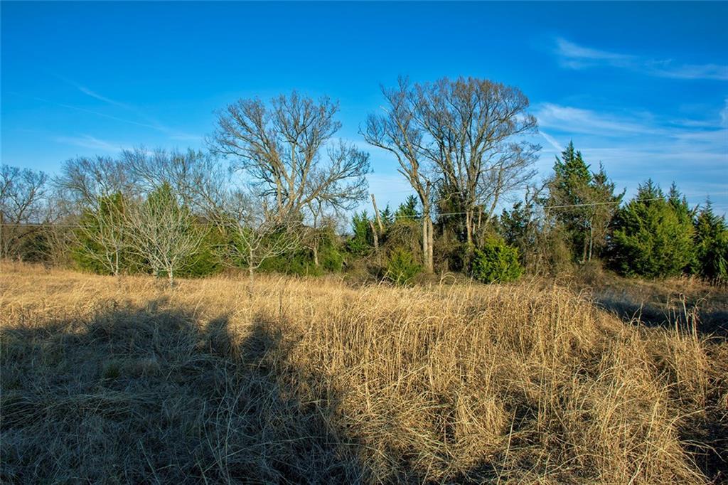Lot 1 Whitaker Rd - Photo 1