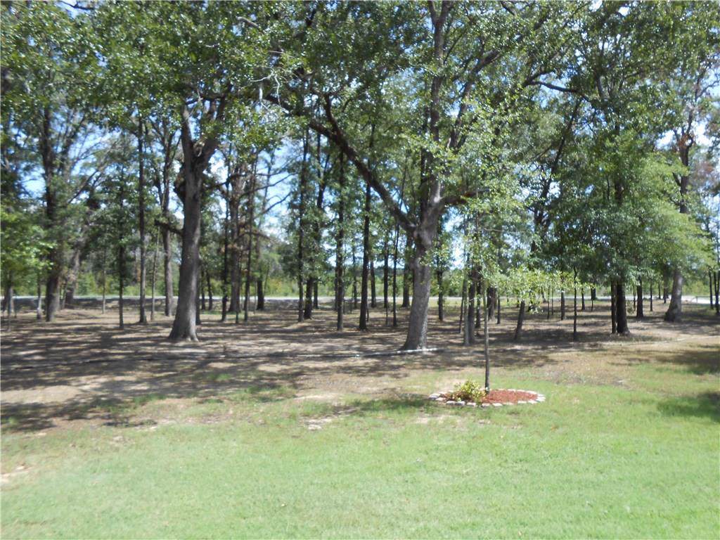 000001 Hwy 259 S - Photo 1