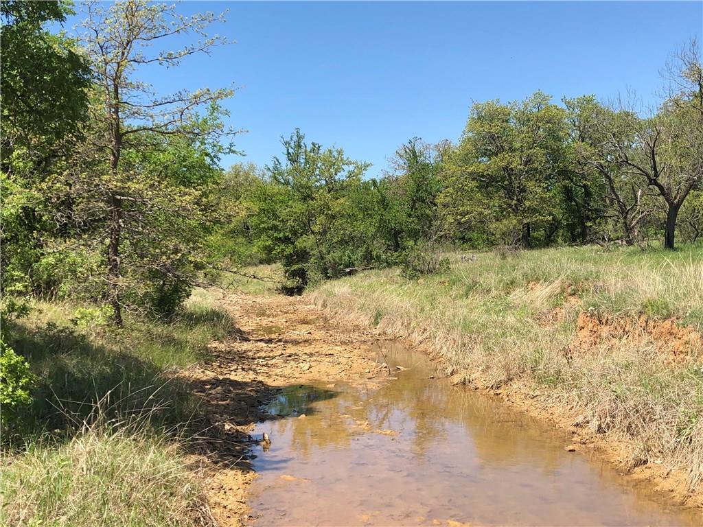 TBD County Road 120 - Photo 1