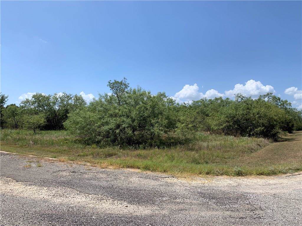 31059 Doe Run Court - Photo 1