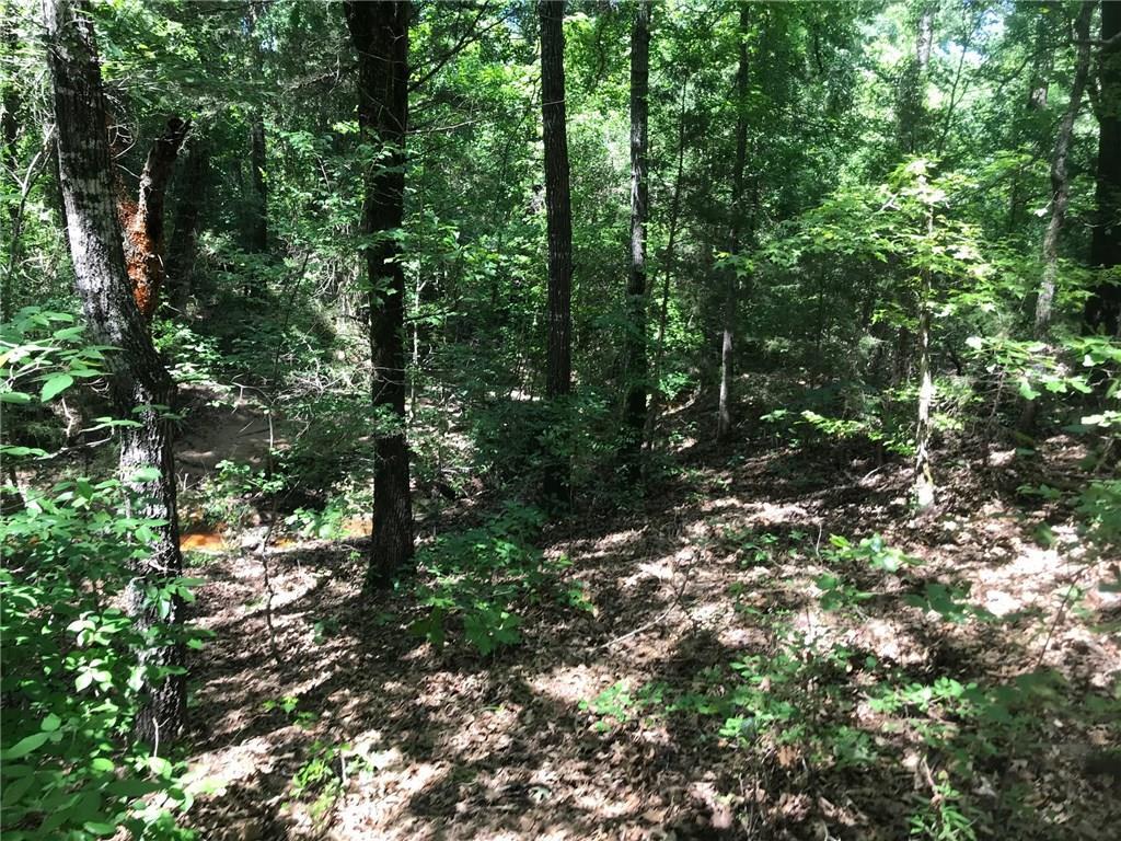 0000 Vz County Road 1203 - Photo 1