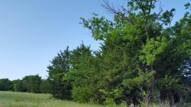 Lot 9 (A) County Rd 618 - Photo 1