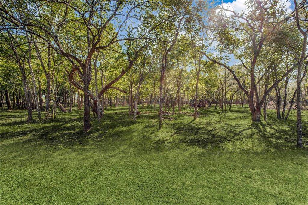 6215 Pinion Trail - Photo 1