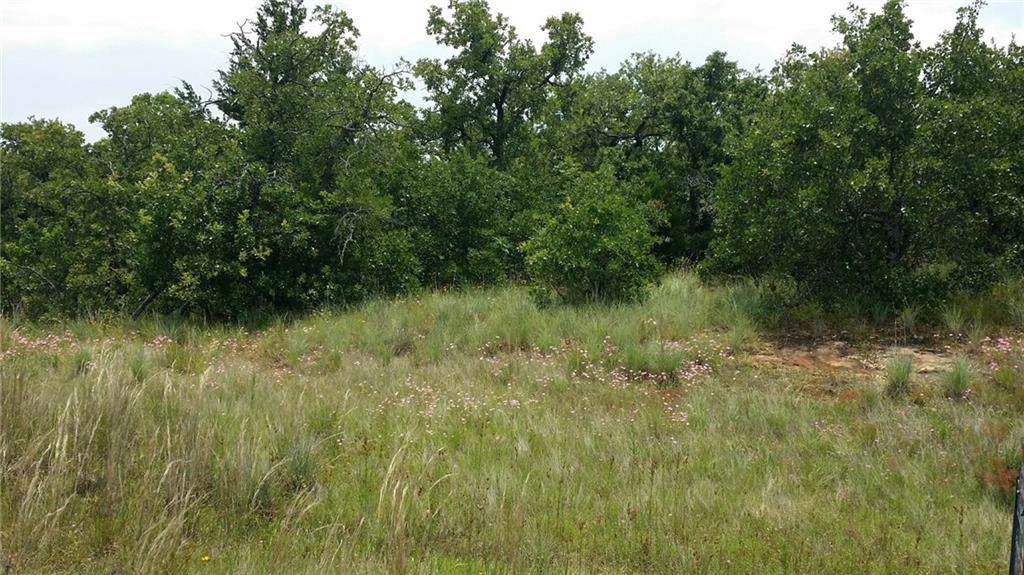 462 Mountain Pass Drive - Photo 1