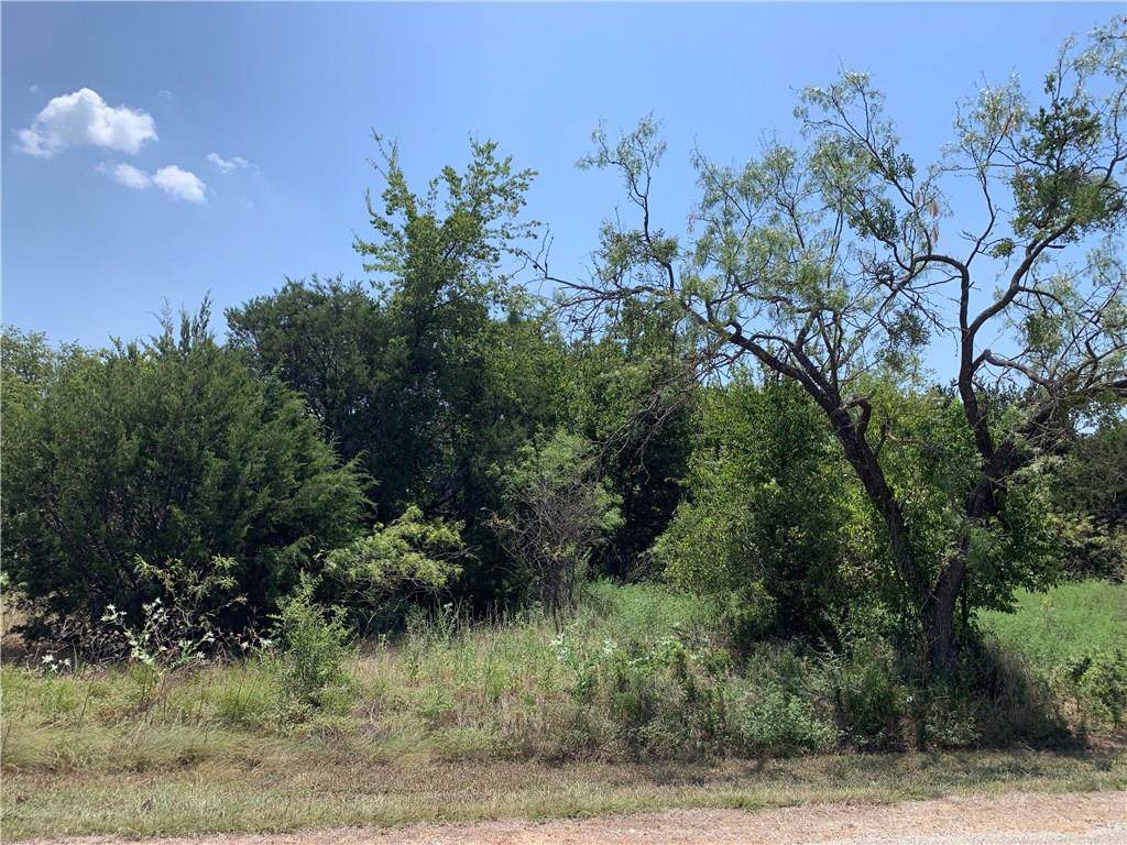 43203 Fringewood Drive - Photo 1