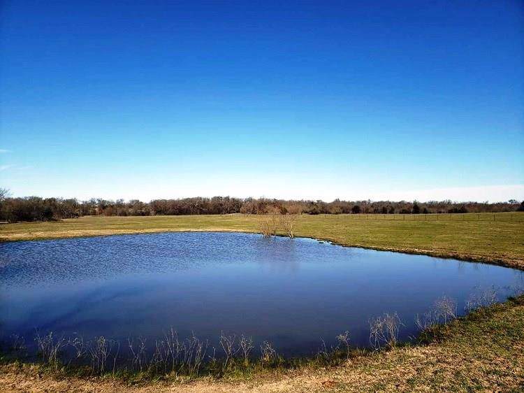 000 County Rd 1043 - Photo 1