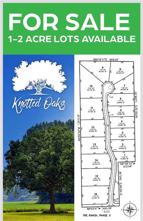 Lot 2 Knotted Oaks Way Road - Photo 1