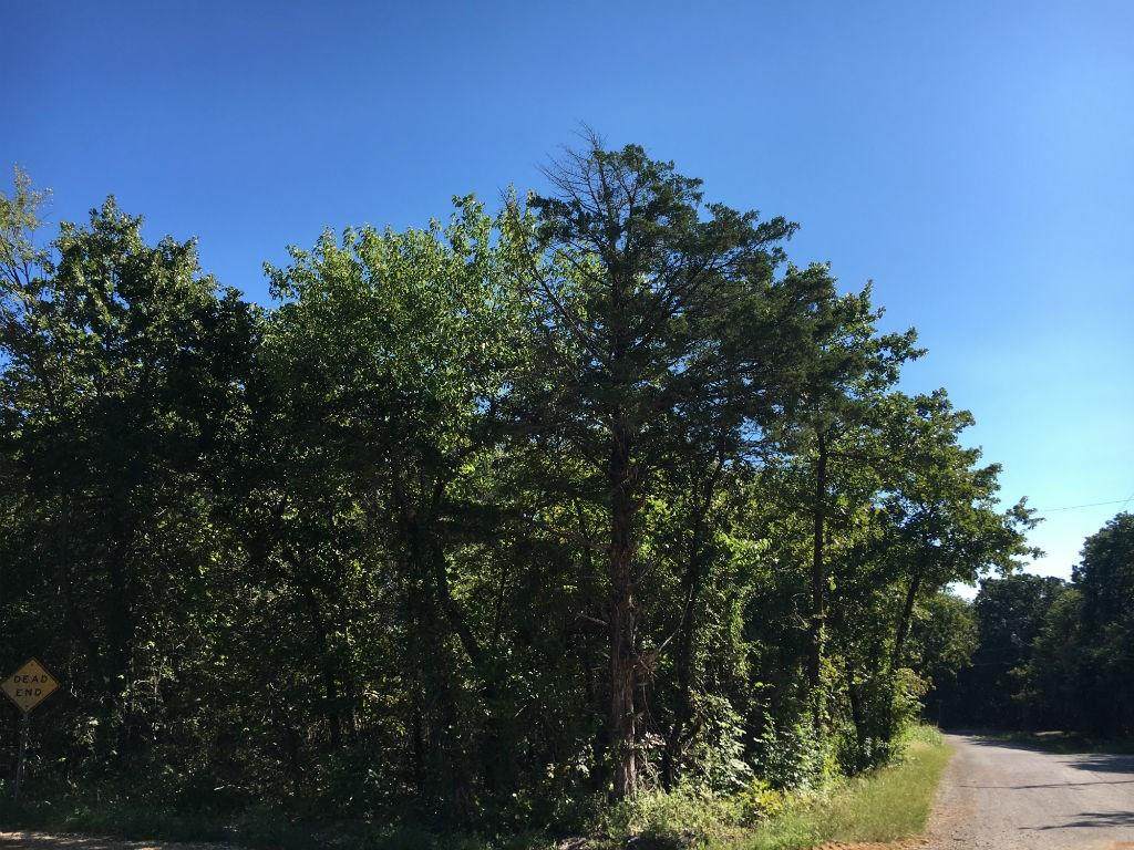 0 Johnson Drive - Photo 1