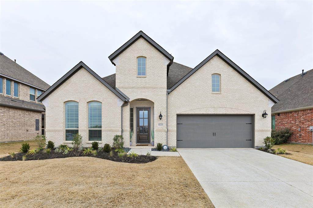 4221 Pepper Grass Lane - Photo 1