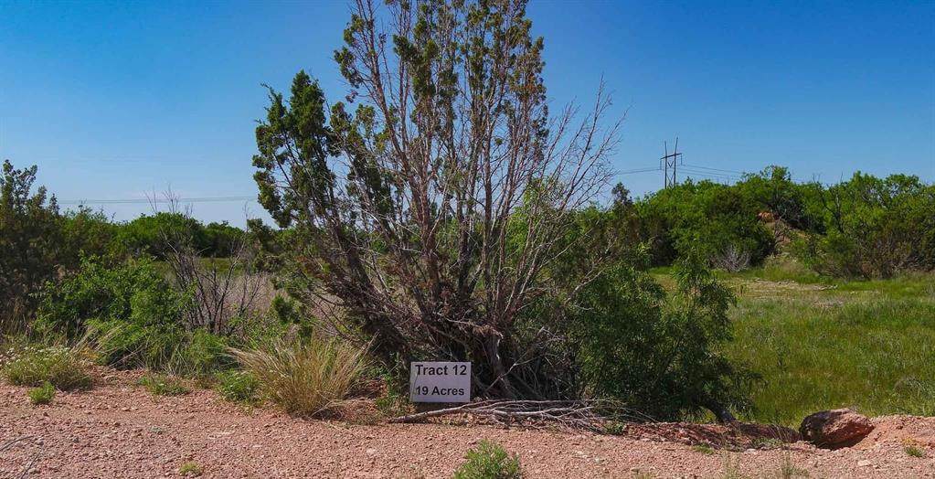 12 Taylor Ridge - Photo 1