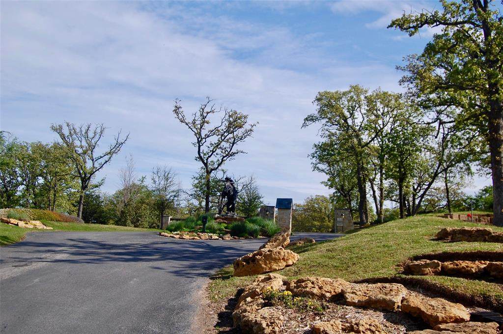 TBD Summit Oaks Circle - Photo 1