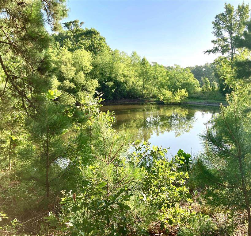 1066 Vz County Road 4418 - Photo 1