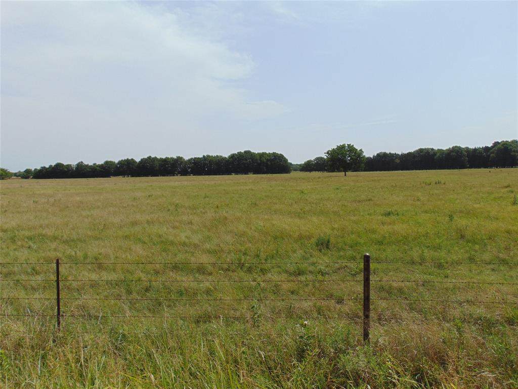 TBD-2 County Road 2190 - Photo 1