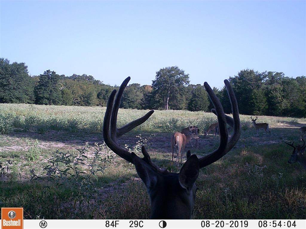 200ac Secr2320 2345 - Photo 1