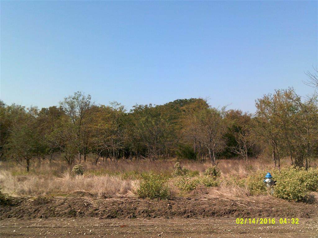 11 A Vista Oak - Photo 1