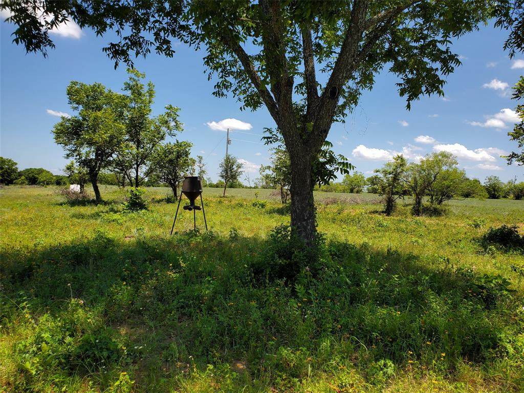 938 Comanche County Road 343 - Photo 1