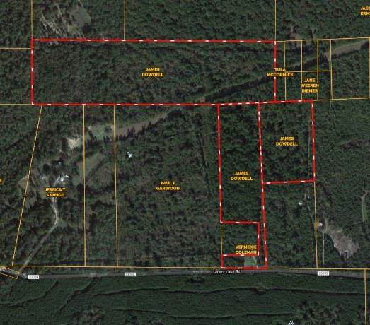 TBD Cr 2305 Gaylor Lake - Photo 1