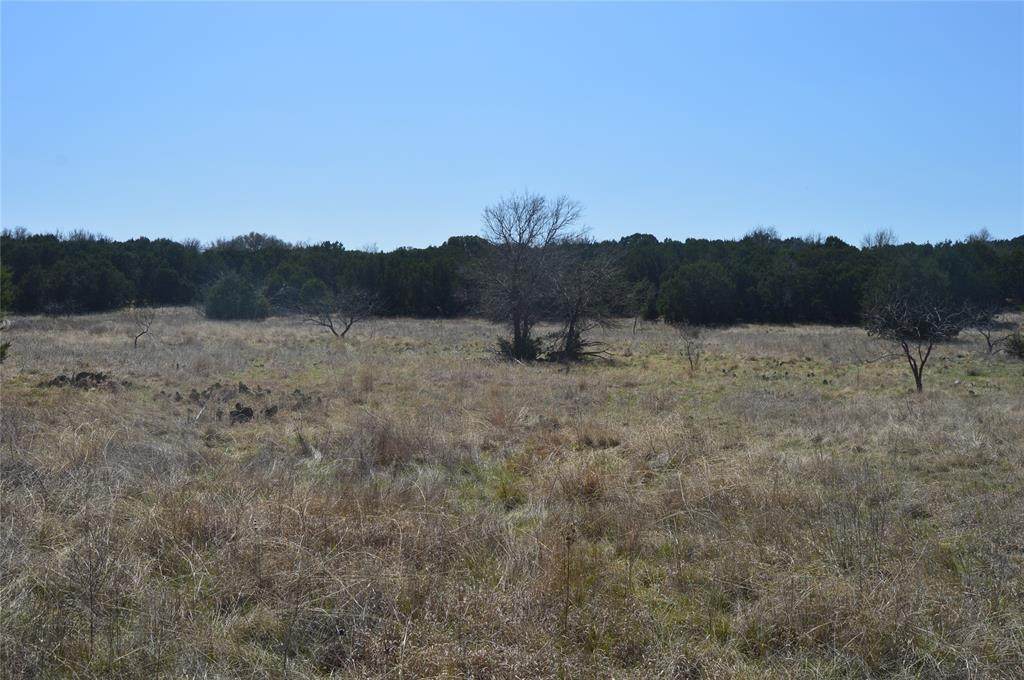 TBD State Hwy 254 - Photo 1