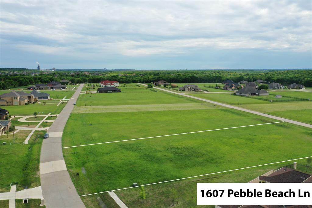 1607 Pebble Beach Lane - Photo 1