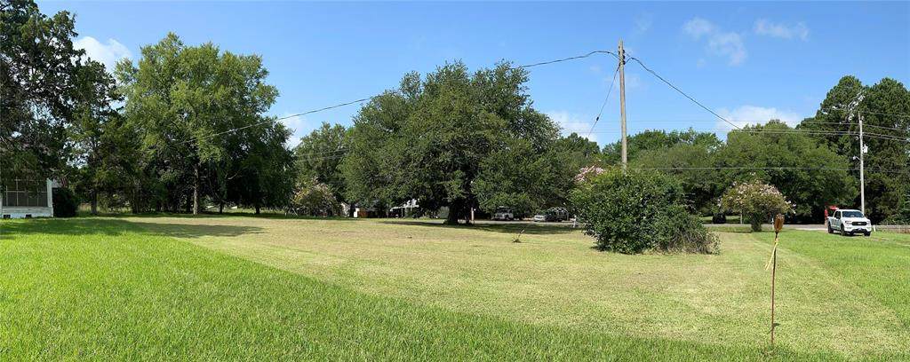 0 Palmetto Rd Lot #8 Of Cummings Subdivision - Photo 1