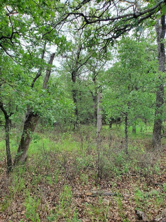 Lot 580 Cross Timbers - Photo 1