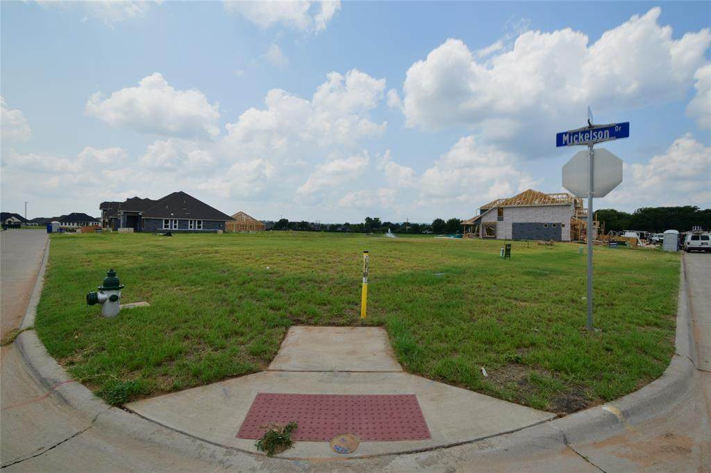 1049 Mickelson Drive - Photo 1