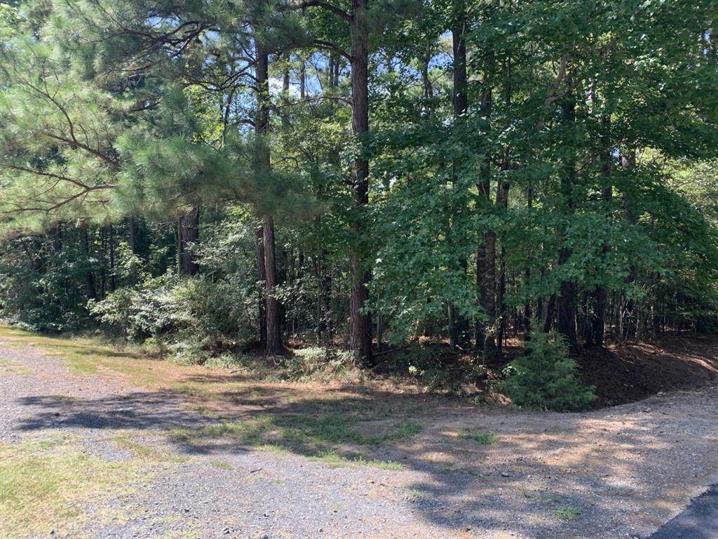 Lot 45 Orange Blossom Lane - Photo 1