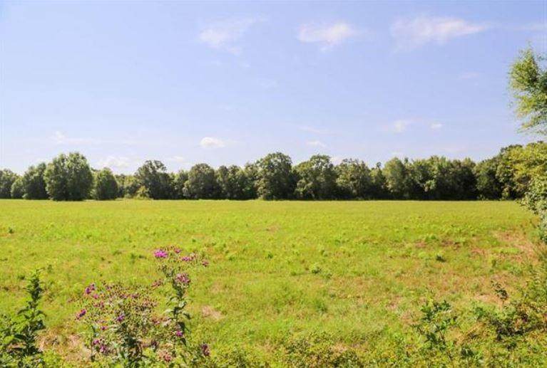 000 County Road 45800 - Photo 1